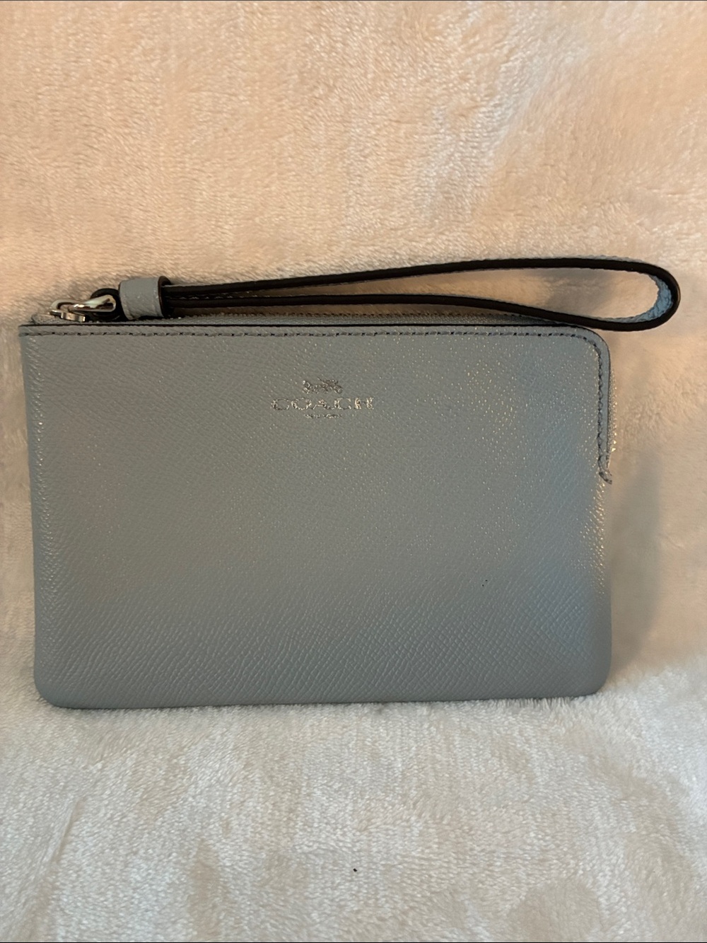 Coach Pale Blue Leather Zip Wristlet. EUC